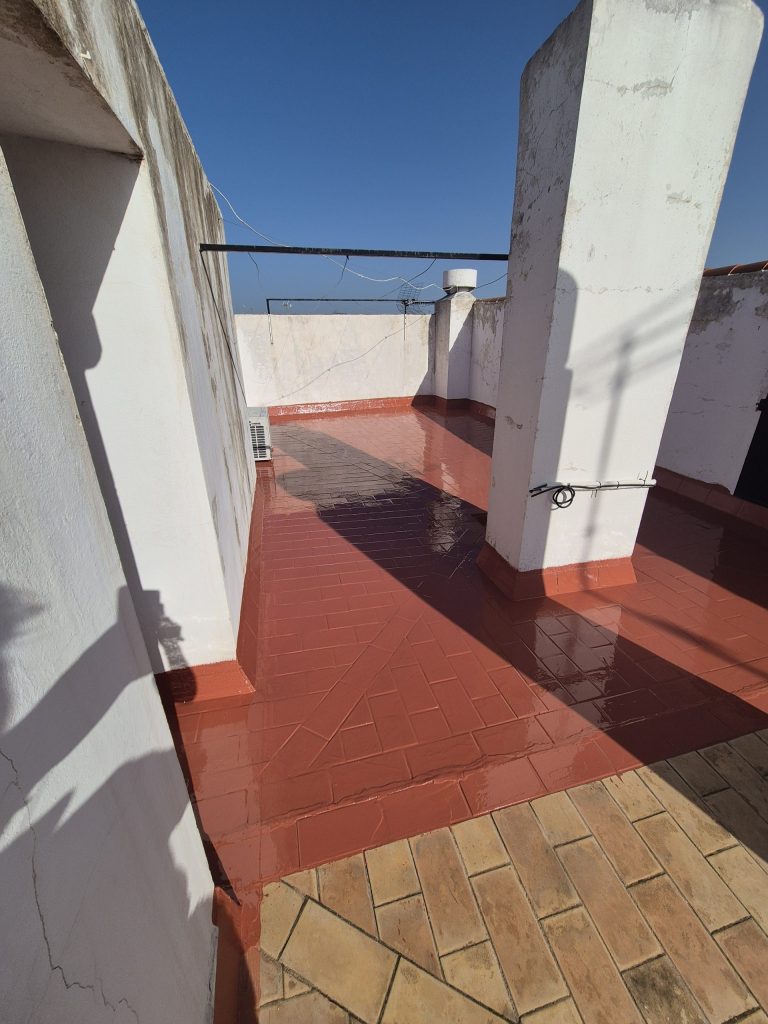 20241128 122050 scaled e1770918787748